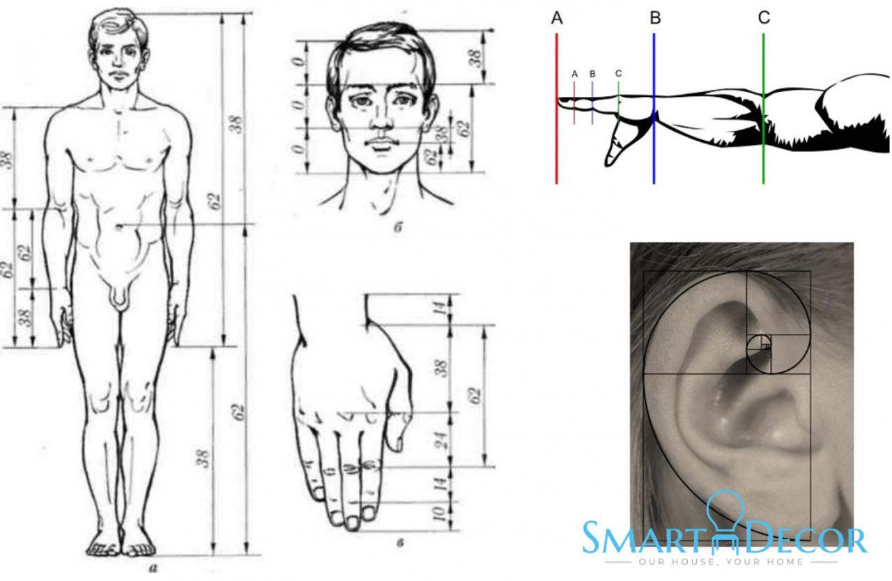 smartdecor thietkexuhuong thicongchatluong sanxuatnoithatmaydo sangtrong hiendai phongcachsong 5