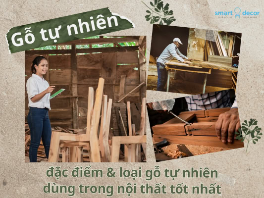 Gỗ tự nhiên và ứng dụng trong nội thất